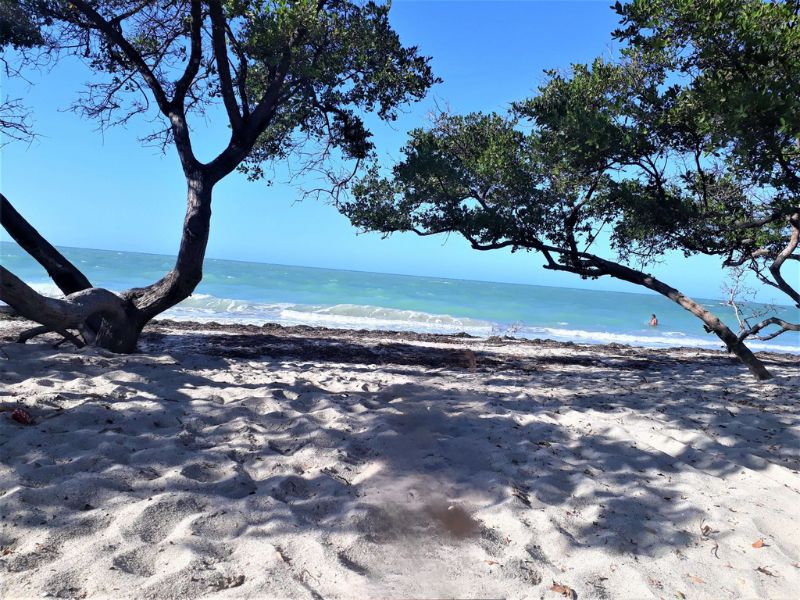 guajira