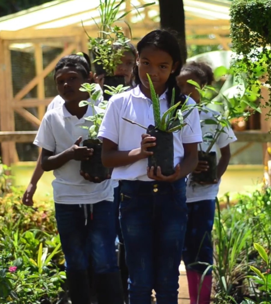 vivero_infantil