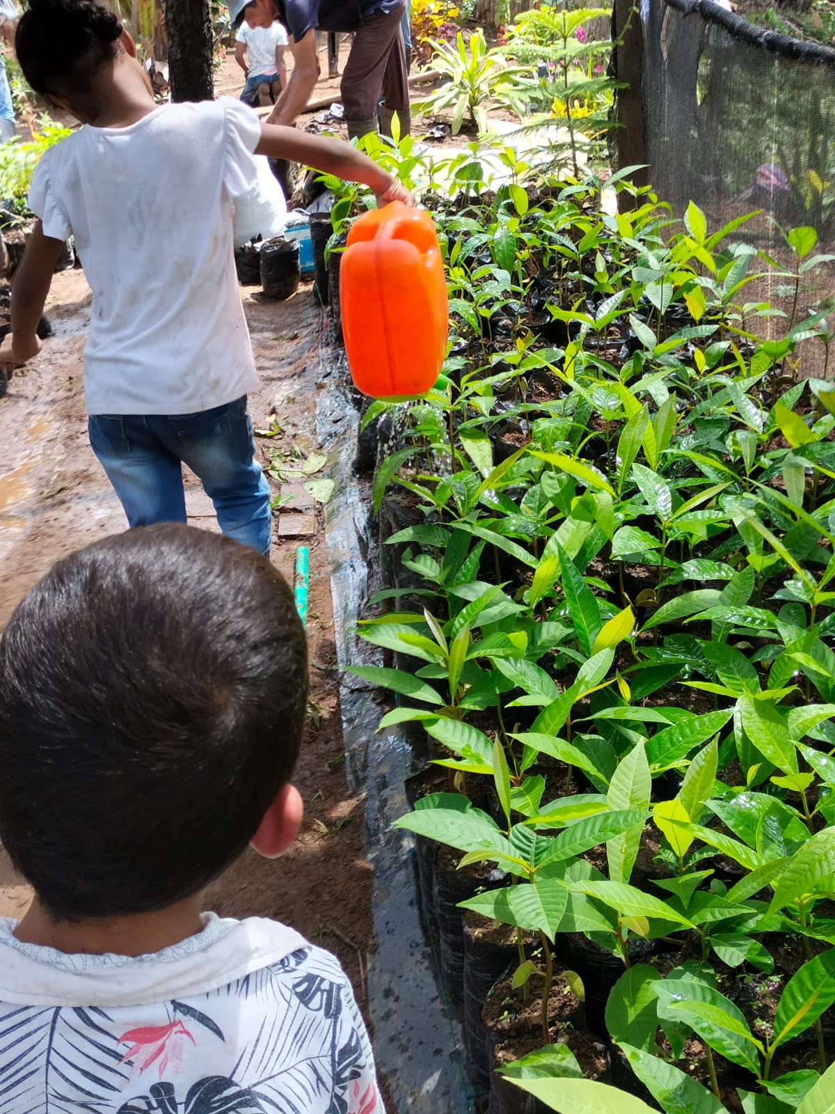 vivero_infantil3