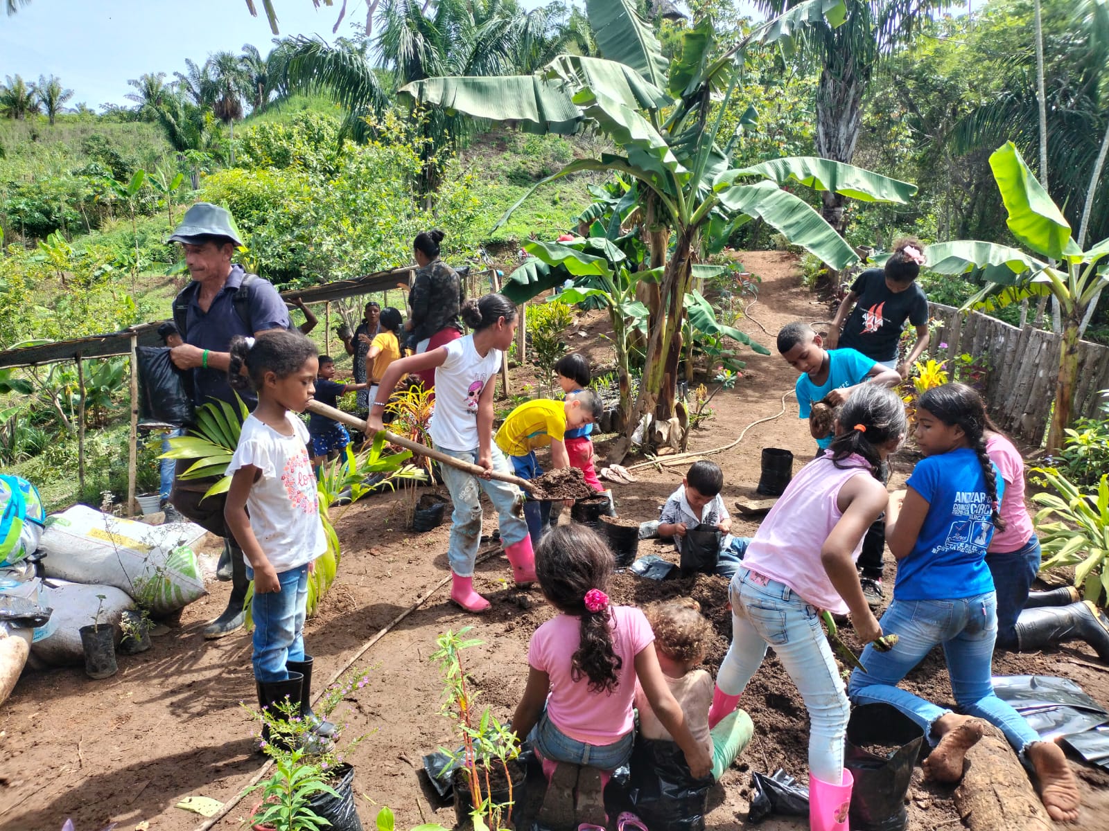 vivero_infantil4